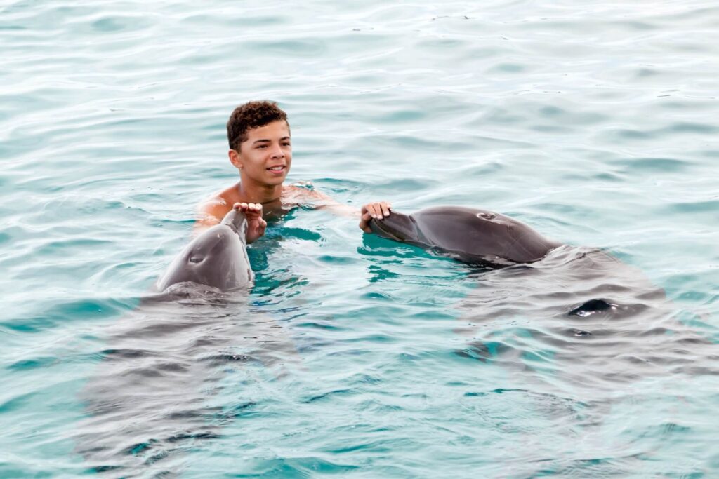 Refrein streng seinpaal Zijn er dolfijnen op Curacao?