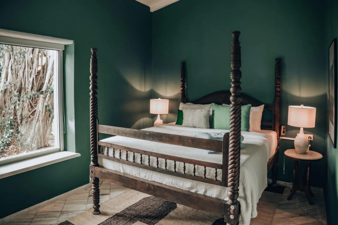 King Room Boutique Hotel Curacao Rooms Suites Willemstad Kura Botanica ()