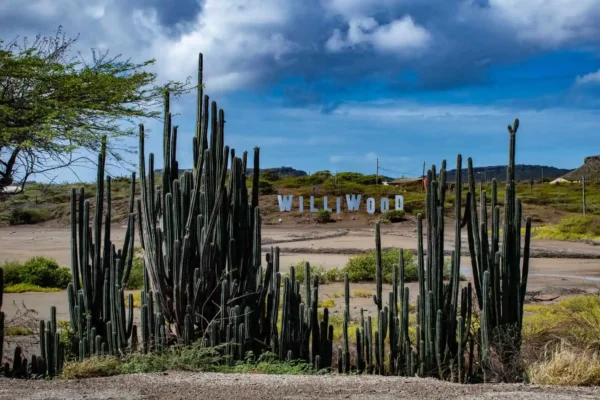 Regions on curacao Sint Willibrordus Williwood