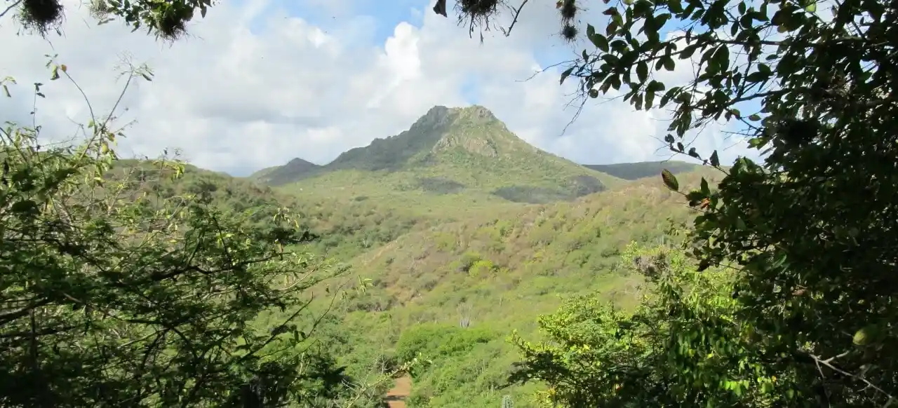 christoffel-park-curacao-1