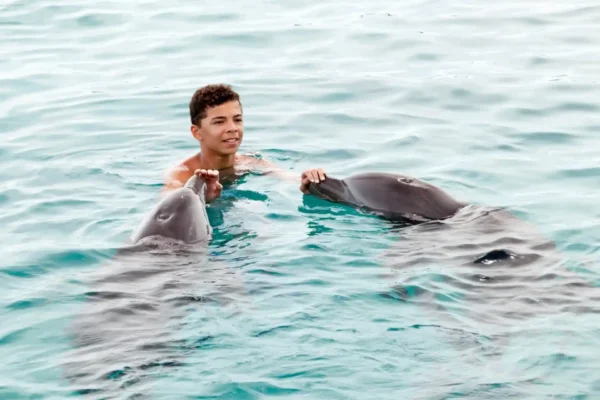 swimming with dolphins curacao